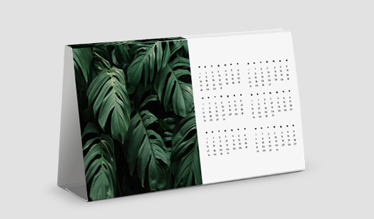 Mr_Calendario_Mesa_2024_2